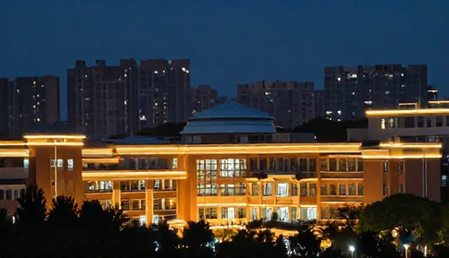 数据录入在贸易中的常见误解与正确理解